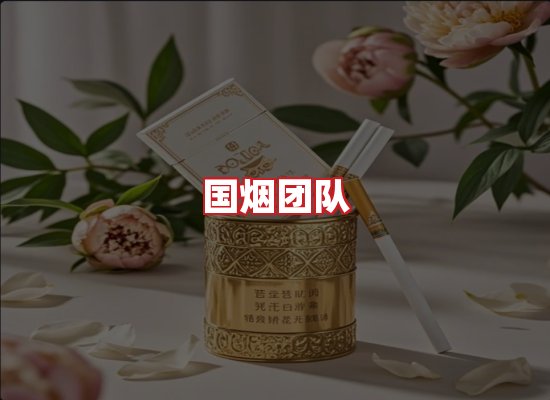 国烟团队